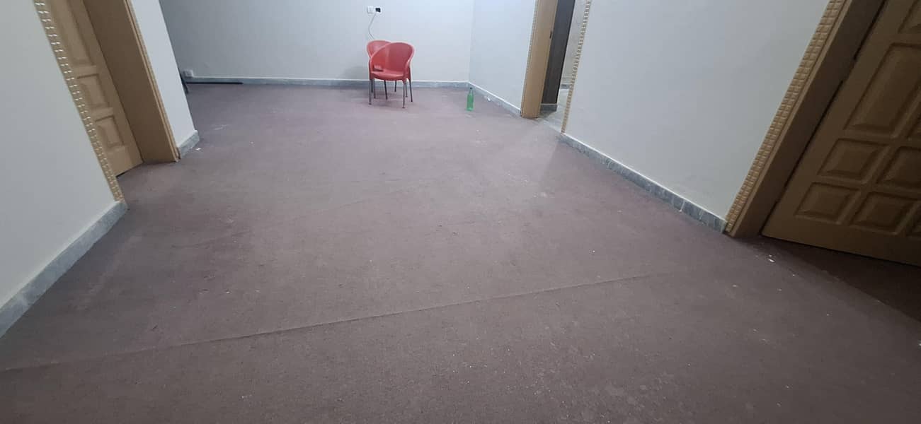 carpet 5