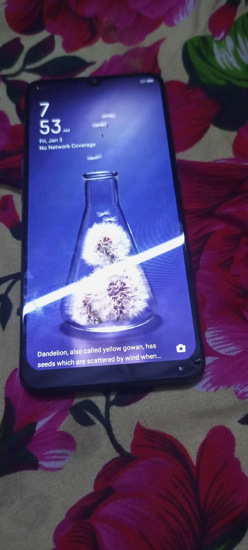 oppo A91 1