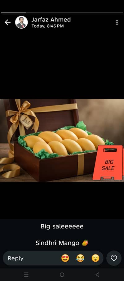 fresh sindhri mangoes