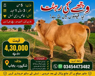 03454473483