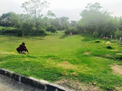 5 Marla Plot at Taxila Gardens for Sale