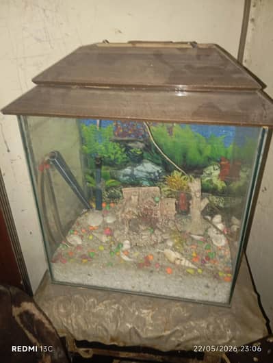 aquarium