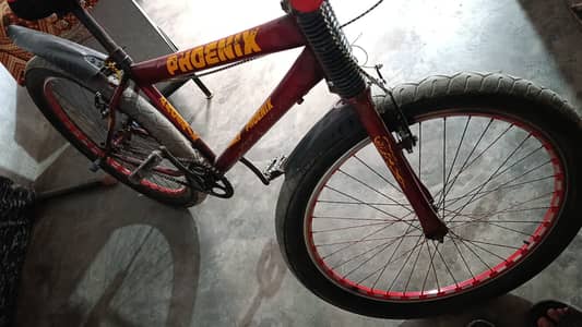 Phoenix Bicycle in Clean Condition