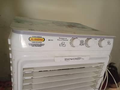 Air cooler fan