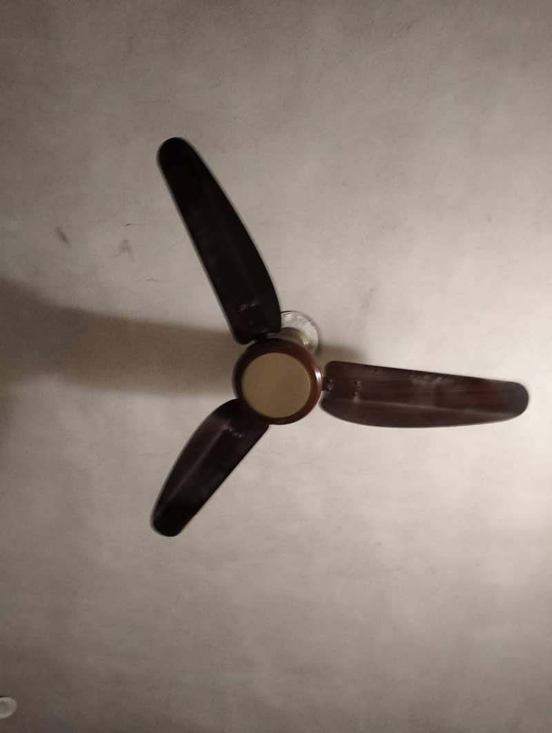 fan's 0