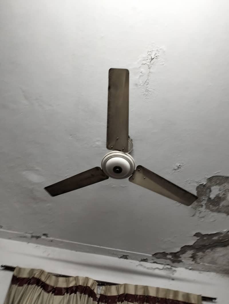 fan's 2