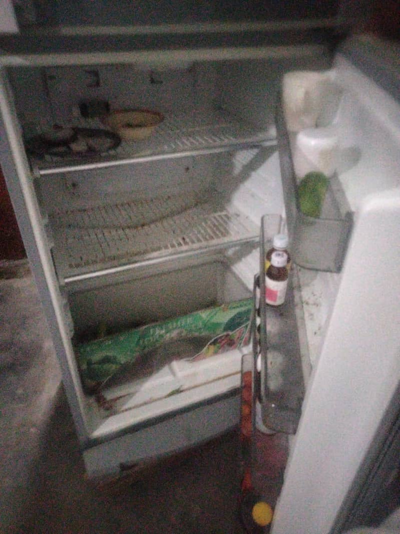 freezer 1