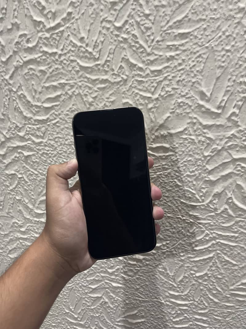 iPhone 16 Pro Max 3
