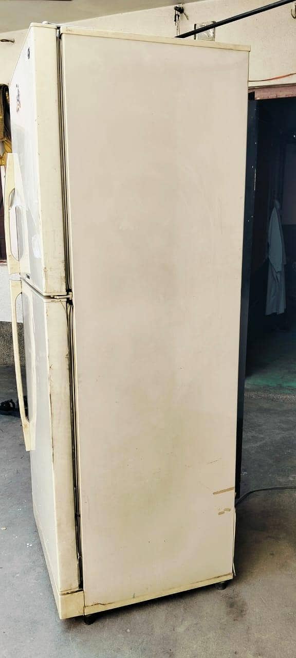 Pel Refrigerator 2