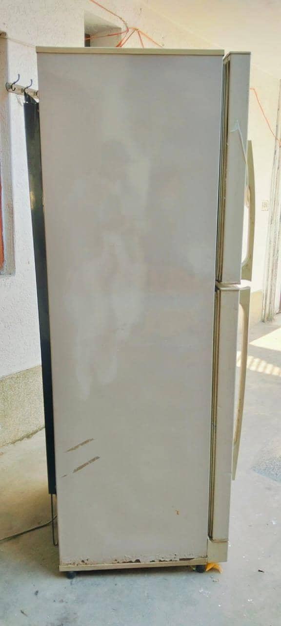 Pel Refrigerator 4