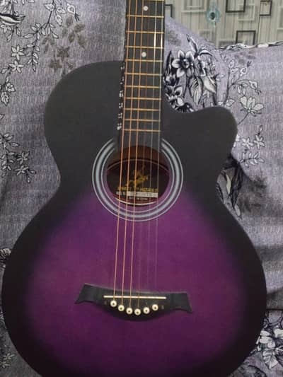 Swift hourse Acoustic Guitar
