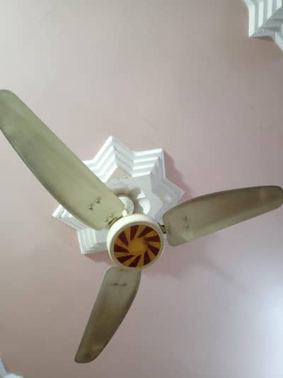 Royal Ceiling Fan