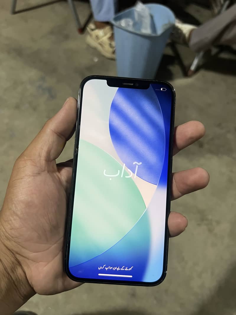 12 pro max 2