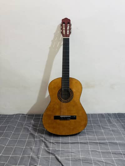 Acoustic professional Guitar