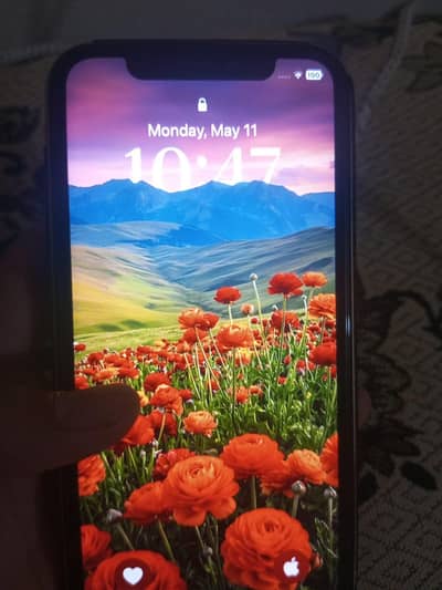 iphone XR to 11