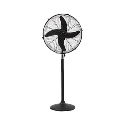 Royal Padestal fan Black