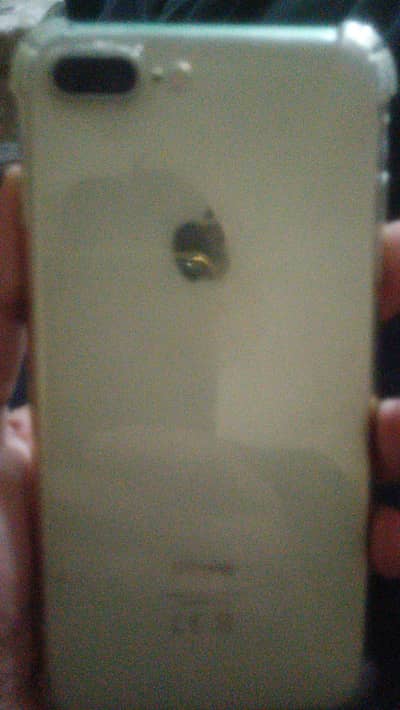 8plus pta