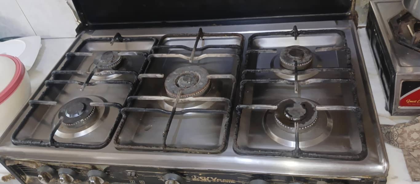 sky flame stoves 1