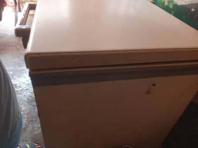 FREEZER FULL CHILLED