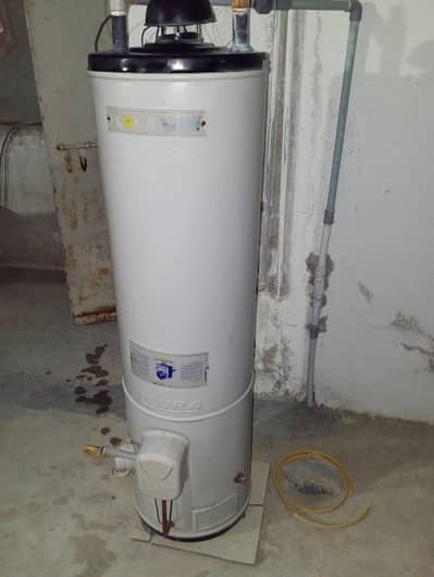 Flora Geyser (Gas and electric)