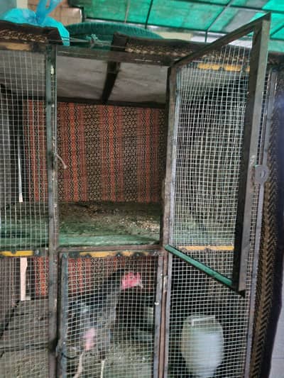 hen Cage 6 feet hight