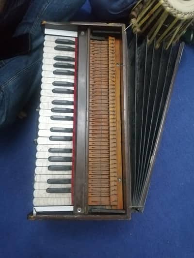 harmonium