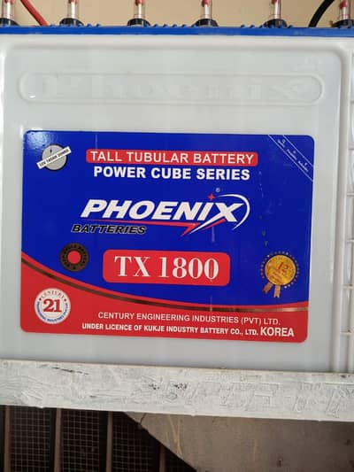 Phoenix Tall Tublar batteries for sale