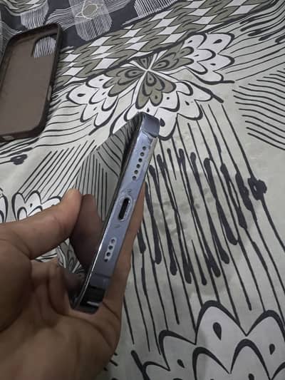 13 pro max