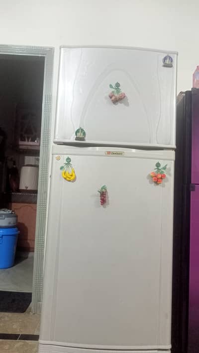 Fridge dibble door