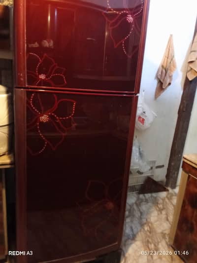 Glass Door full size fridge in low price