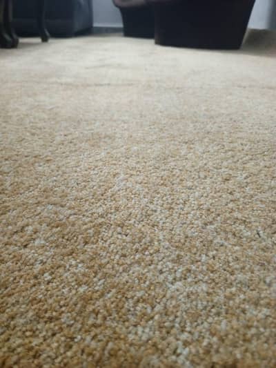 carpet size 12x19 feet