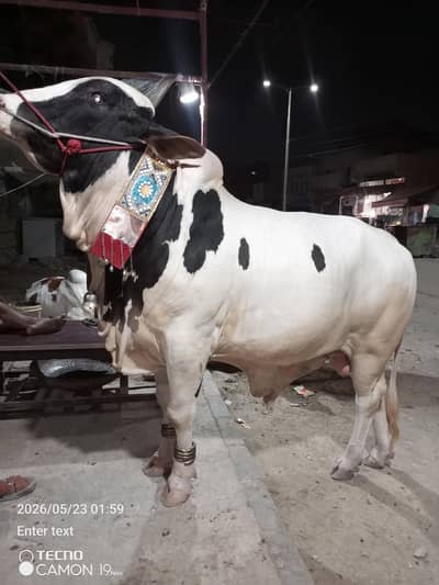 Qurbani 2026