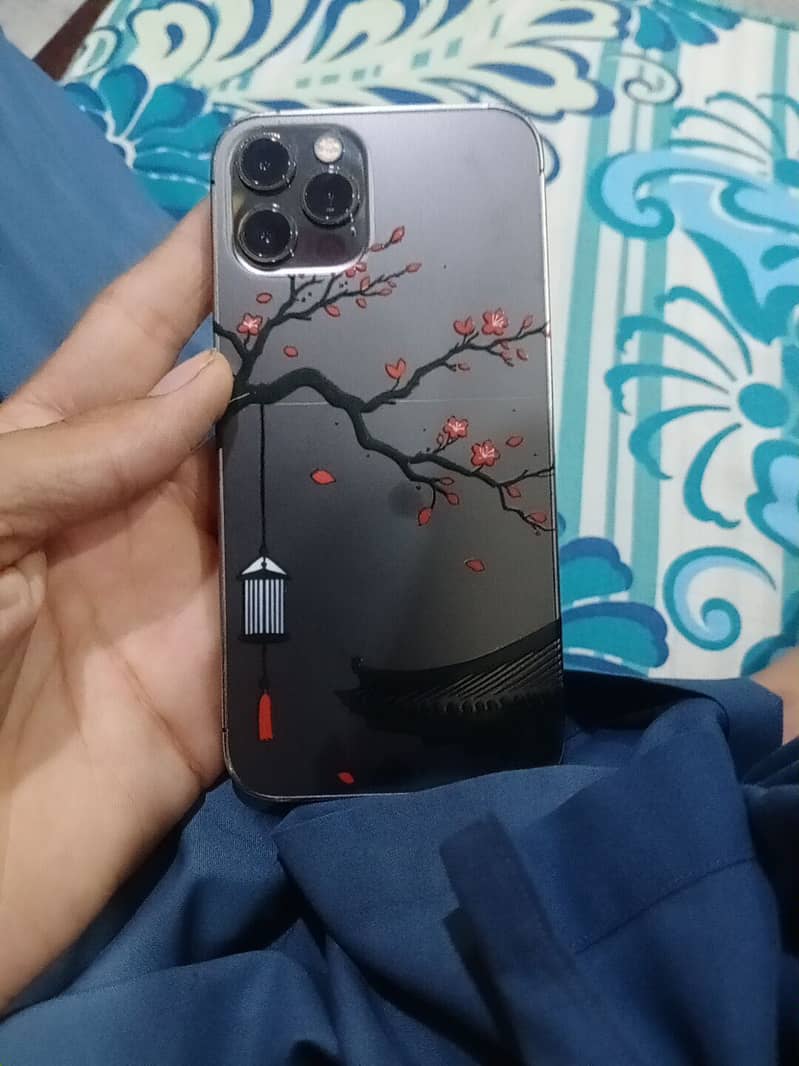 IPhone 12 Pro 0