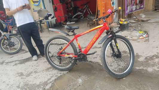 mountain bicycle