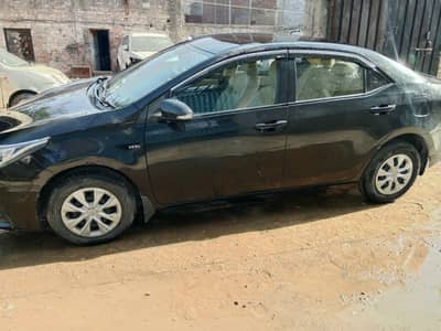 Toyota corolla gli