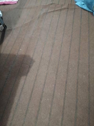 carpet in good condition