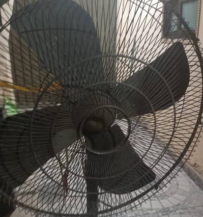 pedestal fan for sale