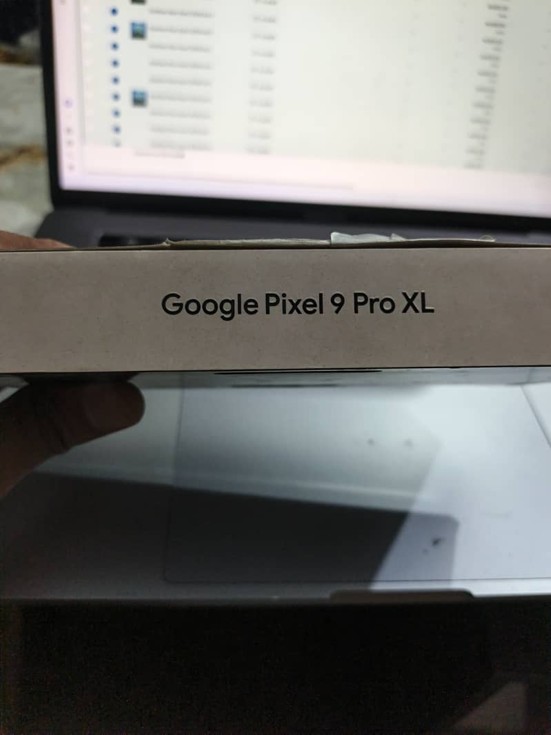Google Pixel 9 Pro XL 3