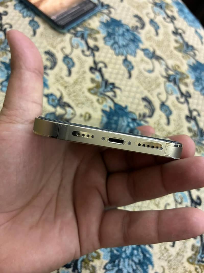 iphone 13 pro max 4