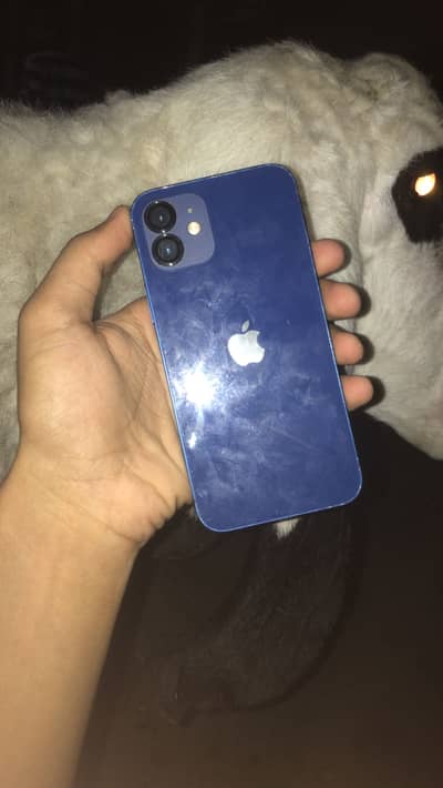 iPhone 12 03164935215