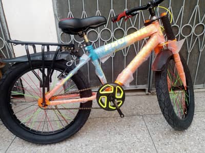 Brand New Phoenix Bicycle 20"