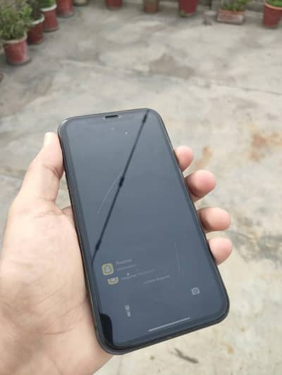iphone 11 pta approved