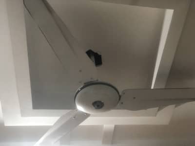 Fan Good quality