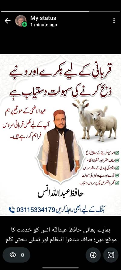 03115334179 WhatsApp