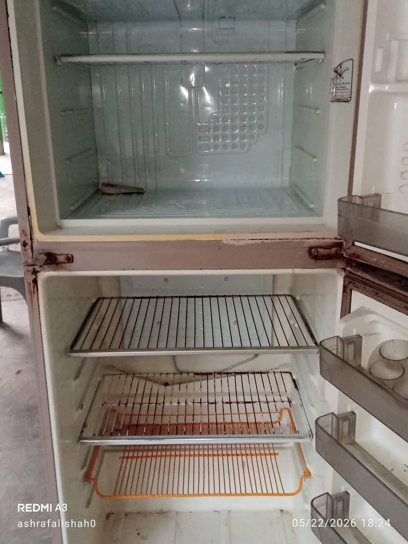 waves Refrigerator 1