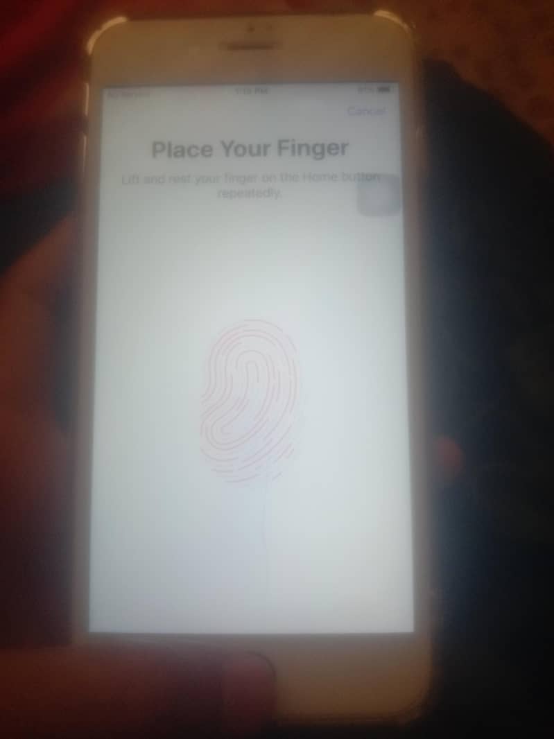 iphone 5