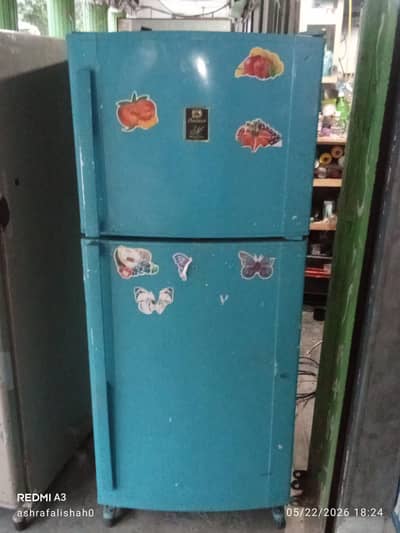 Dawlence Fridge
