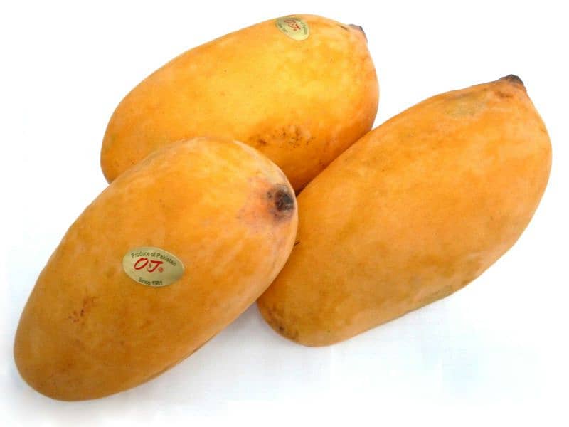 Mango sindhri 0