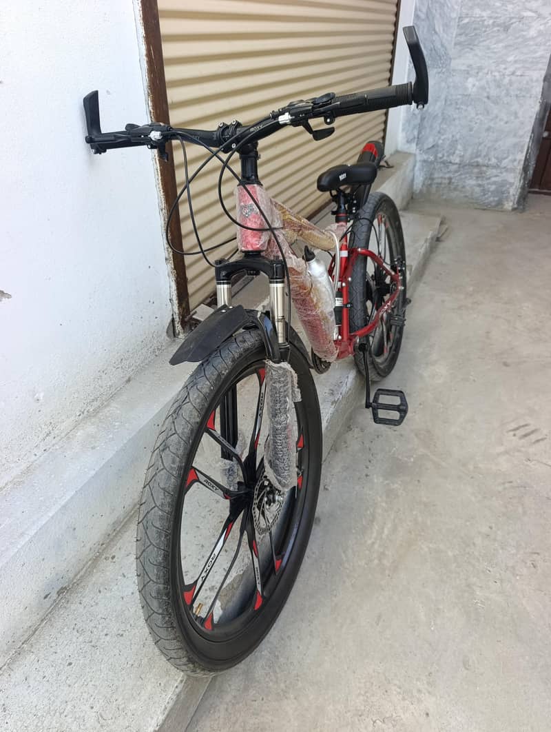 Roxy Bicycle 1