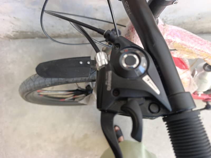 Roxy Bicycle 4